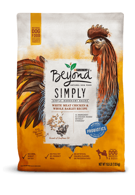 $4.00 for Purina Beyond Dry Dog Food. Offer available at multiple stores.