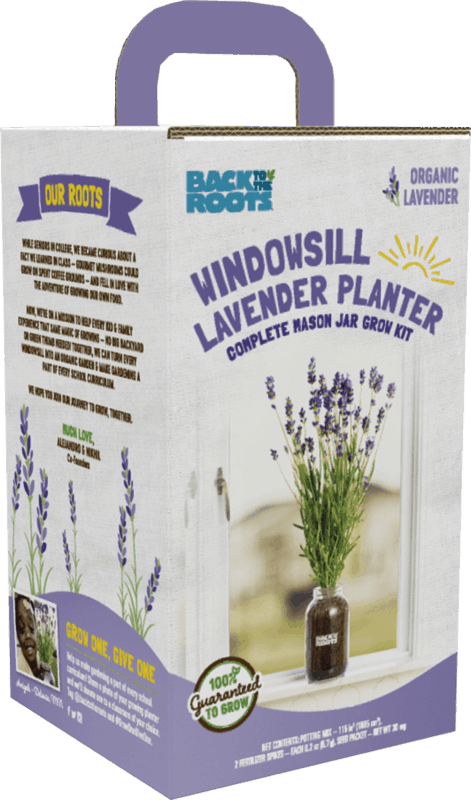 $10.00 for Back to the Roots Windowsill Lavender Planter. Offer available at Walmart, Walmart Grocery.